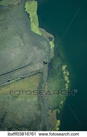 "Aerial view, lake shore, Lake of Pusiano, Como Province, Italy, Europe" View Large Photo Image Stock Image - "Aerial view, lake shore, Lake of Pusiano, Como Province, Italy, Europe". Fotosearch