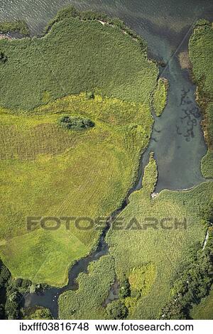 Stock Photo - "Aerial view, lake shore, Lake Thun, Berner Oberland, Switzerland, Europe". Fotosearch
