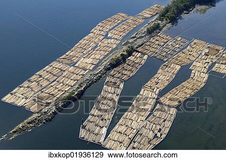 "Aerial view of log booms stored in the Shoal Islands, Chemainus River Estuary, Chemainus Valley, Vancouver Island, British Columbia, Canada, North America" View Large Photo Image Stock Photo - "Aerial view of log booms stored in the Shoal Islands, Chemainus River Estuary, Chemainus Valley, Vancouver Island, British Columbia, Canada, North America". Fotosearch