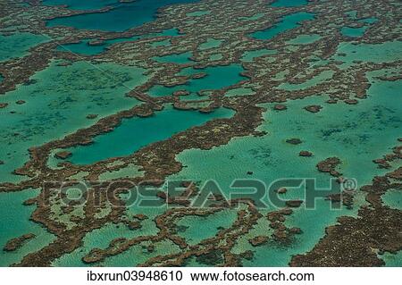"Aerial view of the Great Barrier Reef, UNESCO World Heritage Site, Queensland, Australia, Oceania" View Large Photo Image Stock Image - "Aerial view of the Great Barrier Reef, UNESCO World Heritage Site, Queensland, Australia, Oceania". Fotosearch