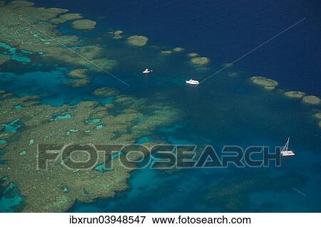 "Aerial view of the Great Barrier Reef, UNESCO World Heritage Site, Queensland, Australia, Oceania" View Large Photo Image Stock Photo - "Aerial view of the Great Barrier Reef, UNESCO World Heritage Site, Queensland, Australia, Oceania". Fotosearch