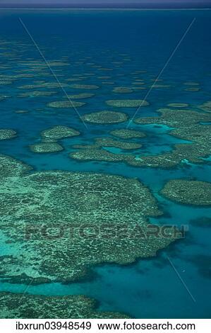 "Aerial view of the Great Barrier Reef, UNESCO World Heritage Site, Queensland, Australia, Oceania" View Large Photo Image Stock Photo - "Aerial view of the Great Barrier Reef, UNESCO World Heritage Site, Queensland, Australia, Oceania". Fotosearch