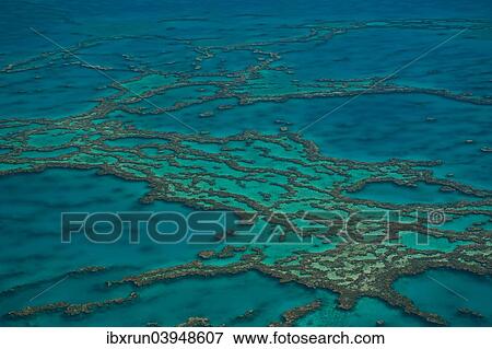 "Aerial view of the Great Barrier Reef, UNESCO World Heritage Site, Queensland, Australia, Oceania" View Large Photo Image Stock Photo - "Aerial view of the Great Barrier Reef, UNESCO World Heritage Site, Queensland, Australia, Oceania". Fotosearch