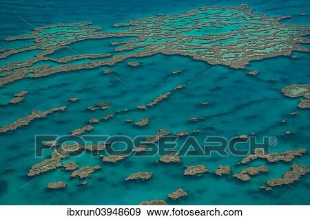 "Aerial view of the Great Barrier Reef, UNESCO World Heritage Site, Queensland, Australia, Oceania" View Large Photo Image Stock Photo - "Aerial view of the Great Barrier Reef, UNESCO World Heritage Site, Queensland, Australia, Oceania". Fotosearch