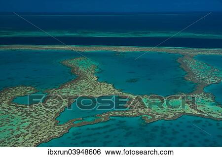 "Aerial view of the Great Barrier Reef, UNESCO World Heritage Site, Queensland, Australia, Oceania" View Large Photo Image Stock Photograph - "Aerial view of the Great Barrier Reef, UNESCO World Heritage Site, Queensland, Australia, Oceania". Fotosearch