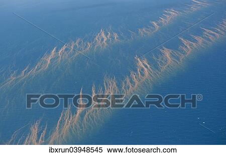"Aerial view of the Great Barrier Reef, UNESCO World Heritage Site, Queensland, Australia, Oceania" View Large Photo Image Stock Photography - "Aerial view of the Great Barrier Reef, UNESCO World Heritage Site, Queensland, Australia, Oceania". Fotosearch