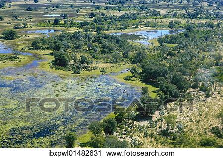 "Aerial view, Okavango Delta, Botswana, Africa" View Large Photo Image Stock Image - "Aerial view, Okavango Delta, Botswana, Africa". Fotosearch