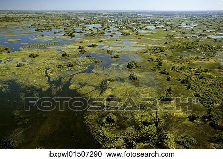 "Aerial view, Okavango Delta, Botswana, Africa" View Large Photo Image Stock Image - "Aerial view, Okavango Delta, Botswana, Africa". Fotosearch