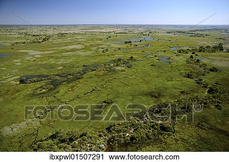 "Aerial view, Okavango Delta, Botswana, Africa" View Large Photo Image Stock Image - "Aerial view, Okavango Delta, Botswana, Africa". Fotosearch