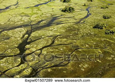 Stock Photo - "Aerial view, Okavango Delta, Botswana, Africa". Fotosearch