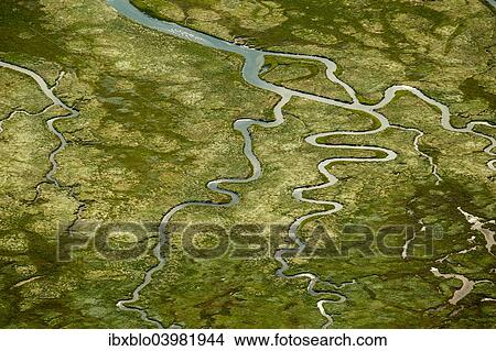 "Aerial view, Ostheller outland, salt marshes with tidal creeks, Norderney, island in the North Sea, East Frisian Islands, Lower Saxony, Germany, Europe" View Large Photo Image Picture - "Aerial view, Ostheller outland, salt marshes with tidal creeks, Norderney, island in the North Sea, East Frisian Islands, Lower Saxony, Germany, Europe". Fotosearch