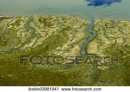 "Aerial view, Ostheller outland, salt marshes with tidal creeks, Norderney, island in the North Sea, East Frisian Islands, Lower Saxony, Germany, Europe" View Large Photo Image Stock Photo - "Aerial view, Ostheller outland, salt marshes with tidal creeks, Norderney, island in the North Sea, East Frisian Islands, Lower Saxony, Germany, Europe". Fotosearch