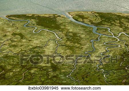 "Aerial view, Ostheller outland, salt marshes with tidal creeks, Norderney, island in the North Sea, East Frisian Islands, Lower Saxony, Germany, Europe" View Large Photo Image Stock Photography - "Aerial view, Ostheller outland, salt marshes with tidal creeks, Norderney, island in the North Sea, East Frisian Islands, Lower Saxony, Germany, Europe". Fotosearch