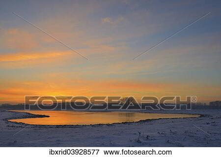 "Afterglow in winter, meander of the Rhine, Bislicher Insel, island, Wesel, Lower Rhine, Germany, Europe" View Large Photo Image Stock Photo - "Afterglow in winter, meander of the Rhine, Bislicher Insel, island, Wesel, Lower Rhine, Germany, Europe". Fotosearch