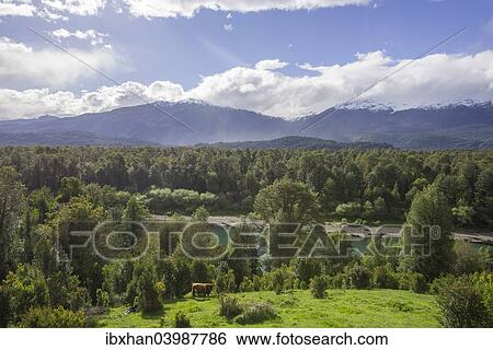 "Agricultural land, forest and river, Cisnes, Region de Aysen, Chile, South America" View Large Photo Image Stock Photograph - "Agricultural land, forest and river, Cisnes, Region de Aysen, Chile, South America". Fotosearch