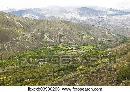 Stock Image - "Agricultural landscape in the Chota Valley, Imbabura Province, Ecuador, South America". Fotosearch