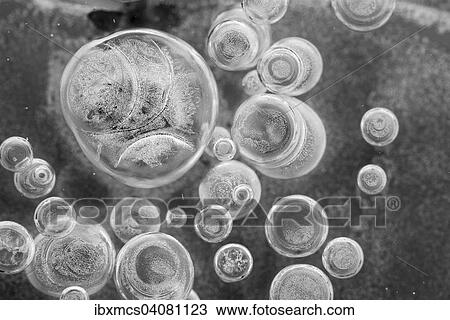 Stock Image - Air bubbles in ice. Fotosearch