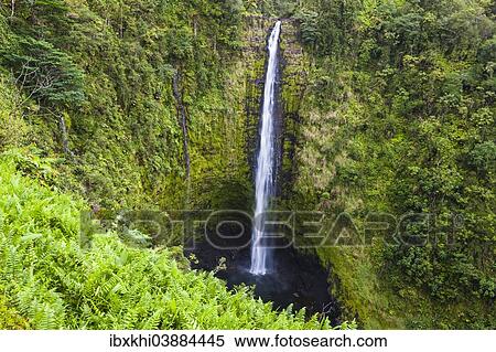 "Akaka Falls, Akaka Falls State Park, Big Island, Hawaii, United States, North America" View Large Photo Image Stock Photography - "Akaka Falls, Akaka Falls State Park, Big Island, Hawaii, United States, North America". Fotosearch