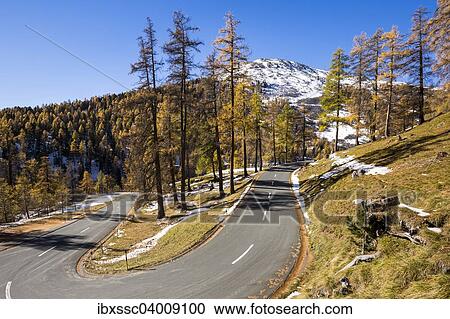 "Albula pass road, autumn, Engadin, Canton of Graubunden, Switzerland, Europe" View Large Photo Image Stock Image - "Albula pass road, autumn, Engadin, Canton of Graubunden, Switzerland, Europe". Fotosearch