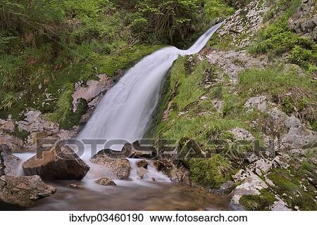 "Allerheiligen waterfalls or Buettenstein waterfalls, near Oppenau, Black Forest, Baden-Wurttemberg, Germany, Europe" View Large Photo Image Stock Image - "Allerheiligen waterfalls or Buettenstein waterfalls, near Oppenau, Black Forest, Baden-Wurttemberg, Germany, Europe". Fotosearch