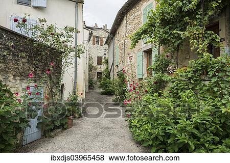Stock Photo - "Alley with plants, Grignan, Departement Drome, Rhone-Alpes, Provence, France, Europe". Fotosearch