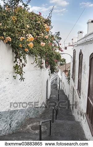 "Alleyway between houses with flowers, Santa Cruz de La Palma, Canary Islands, Spain, Europe" View Large Photo Image Stock Photography - "Alleyway between houses with flowers, Santa Cruz de La Palma, Canary Islands, Spain, Europe". Fotosearch