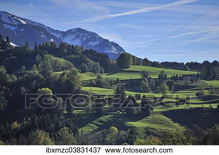 "Allgau countryside, Buhl am Alpsee, Allgau, Bavaria, Germany, Europe" View Large Photo Image Stock Photo - "Allgau countryside, Buhl am Alpsee, Allgau, Bavaria, Germany, Europe". Fotosearch