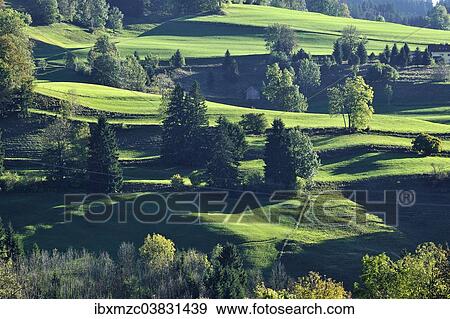 "Allgau countryside, Weitnau, Allgau, Bavaria, Germany, Europe" View Large Photo Image Stock Photo - "Allgau countryside, Weitnau, Allgau, Bavaria, Germany, Europe". Fotosearch