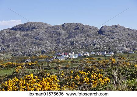 "Allihies, Slieve Miskish Mountains, Beara Peninsula, County Cork, Ireland, British Isles, Europe" View Large Photo Image Stock Photograph - "Allihies, Slieve Miskish Mountains, Beara Peninsula, County Cork, Ireland, British Isles, Europe". Fotosearch