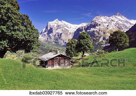 Stock Photography - "Alpine hut above Grindelwald, Mt Wetterhorn at the back, Grindelwald, Canton of Bern, Switzerland, Europe". Fotosearch