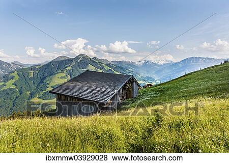"Alpine meadow in front of a hut, Brixen Im Thale, Tyrol, Austria, Europe" View Large Photo Image Stock Photo - "Alpine meadow in front of a hut, Brixen Im Thale, Tyrol, Austria, Europe". Fotosearch
