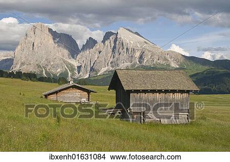 Picture - "Alpine pastures in front of Mt. Plattkofel and Mt. Sassolungo, Seiser Alm, Dolomites, South Tyrol, Italy, Europe". Fotosearch