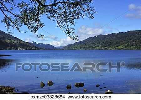 "Alpsee lake, Buhl am Alpsee, Upper Allgau, Bavaria, Germany, Europe" View Large Photo Image Picture - "Alpsee lake, Buhl am Alpsee, Upper Allgau, Bavaria, Germany, Europe". Fotosearch