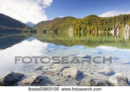 "Alpsee lake in autumn, Fussen, East Allgau, Bavaria, Germany, Europe" View Large Photo Image Stock Image - "Alpsee lake in autumn, Fussen, East Allgau, Bavaria, Germany, Europe". Fotosearch