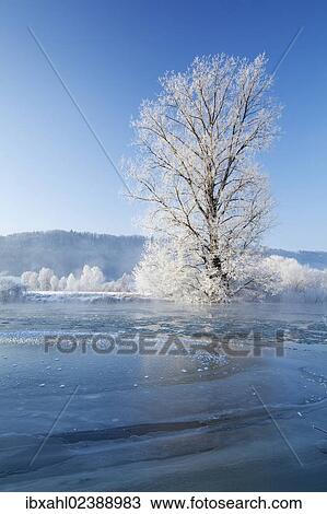 Stock Image - "Altmuehl river near Kottingwoerth in winter, Altmuehltal valley, Bavaria, Germany, Europe". Fotosearch