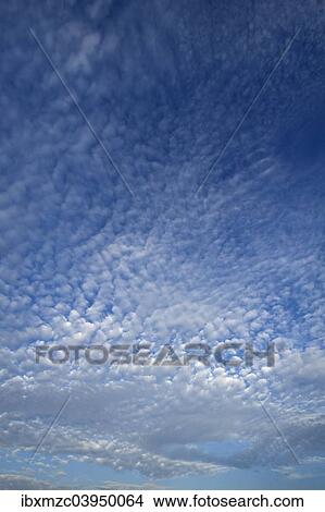"Altocumulus clouds, Germany, Europe" View Large Photo Image Picture - "Altocumulus clouds, Germany, Europe". Fotosearch