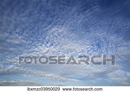 "Altocumulus clouds, Germany, Europe" View Large Photo Image Stock Photo - "Altocumulus clouds, Germany, Europe". Fotosearch