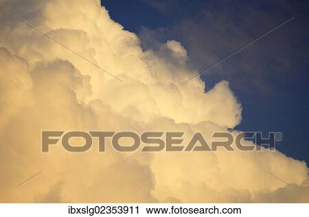 Altocumulus clouds in the evening sky View Large Photo Image Stock Image - Altocumulus clouds in the evening sky. Fotosearch