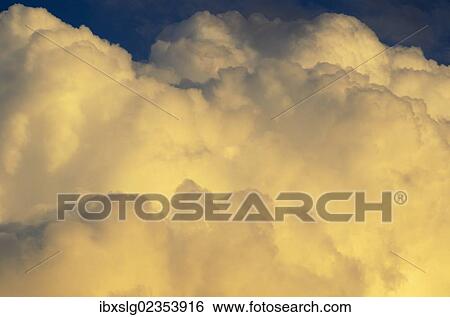 Altocumulus clouds in the evening sky View Large Photo Image Stock Photograph - Altocumulus clouds in the evening sky. Fotosearch