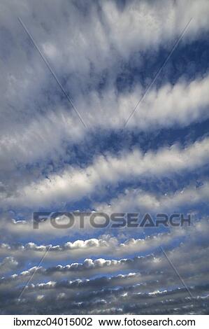 "Altocumulus stratiformis perlucidus undulatus clouds, Schleswig-Holstein, Germany, Europe" View Large Photo Image Stock Image - "Altocumulus stratiformis perlucidus undulatus clouds, Schleswig-Holstein, Germany, Europe". Fotosearch