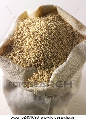 Amaranth supergrain View Large Photo Image Stock Photograph - Amaranth supergrain. Fotosearch