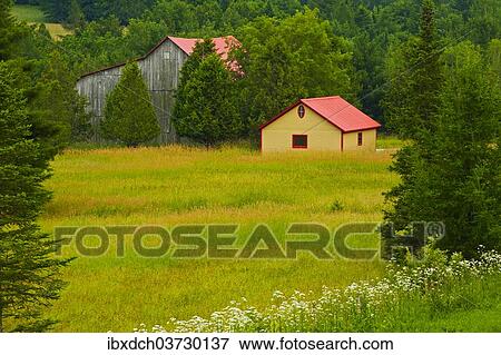 "An old barn and a shed in a meadow, Foster, Eastern Townships, Quebec Province, Canada, North America" View Large Photo Image Stock Photo - "An old barn and a shed in a meadow, Foster, Eastern Townships, Quebec Province, Canada, North America". Fotosearch