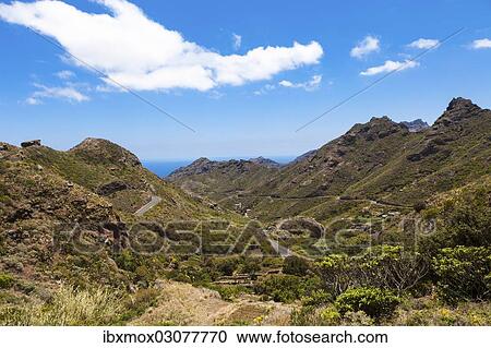 Stock Image - "Anaga Mountains, Los Tableros, Roque, Tenerife, Canary Islands, Spain, Europe". Fotosearch