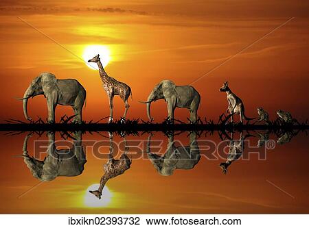 "Animals, one behind the other, reflection, sunset, illustration" View Large Photo Image Stock Image - "Animals, one behind the other, reflection, sunset, illustration". Fotosearch