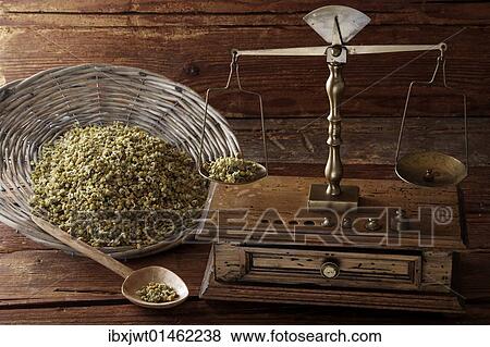Antique scales weighing Chamomile (Matricaria chamomilla) on a wooden surface View Large Photo Image Stock Photo - Antique scales weighing Chamomile (Matricaria chamomilla) on a wooden surface. Fotosearch