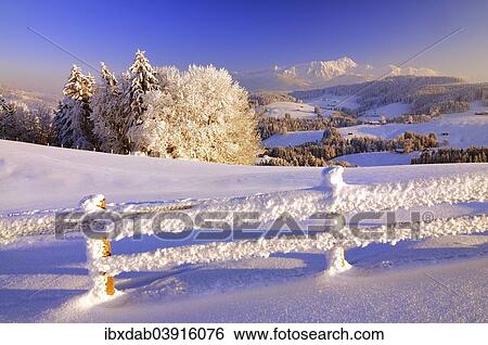 "Appenzell winter landscape in evening light with view on the Santis, fence with hoarfrost in the foreground, Canton Appenzell, Switzerland, Europe" View Large Photo Image Stock Photograph - "Appenzell winter landscape in evening light with view on the Santis, fence with hoarfrost in the foreground, Canton Appenzell, Switzerland, Europe". Fotosearch