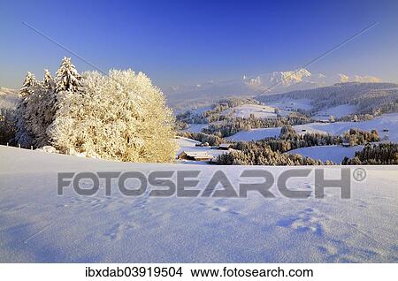 Picture - "Appenzeller winter landscape in evening light with view on the Santis, Appenzell, Switzerland, Europe". Fotosearch