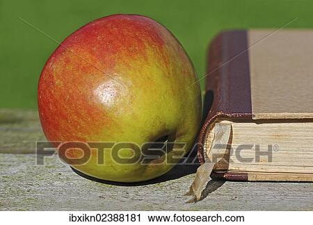 Apple beside an old book View Large Photo Image Stock Image - Apple beside an old book. Fotosearch