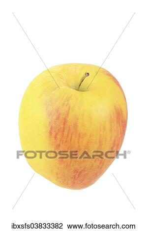 "Apple, Delbar variety" View Large Photo Image Stock Image - "Apple, Delbar variety". Fotosearch
