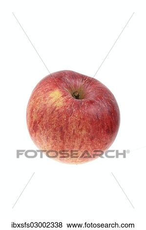 Stock Photo - "Apple, Gestreifter Matapfel variety". Fotosearch